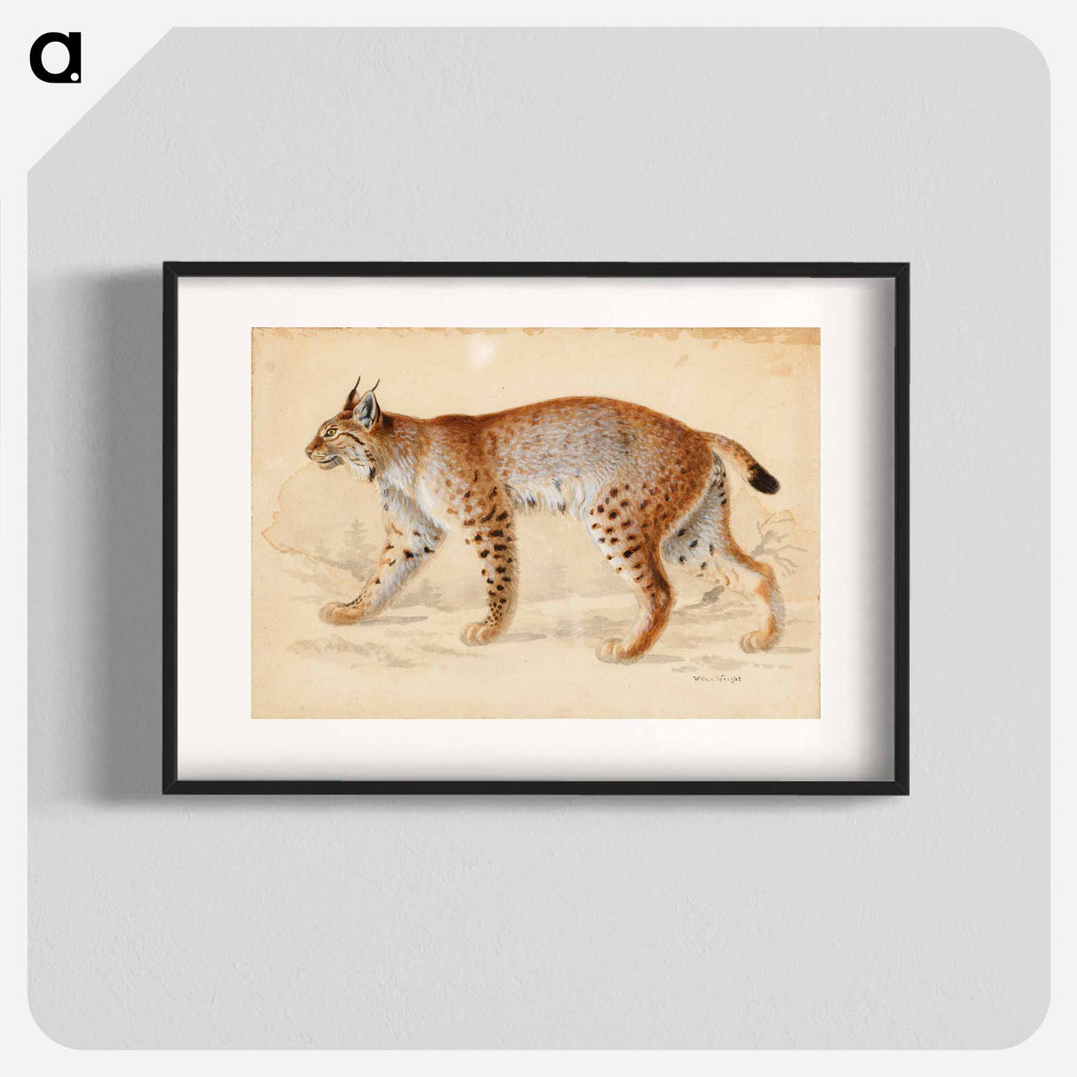 Lynx - Wilhelm von Wright Poster.