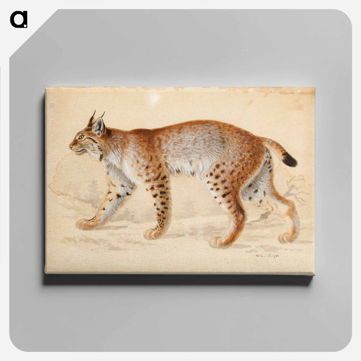 Lynx - ヴィルヘルム フォン ライト Canvas.