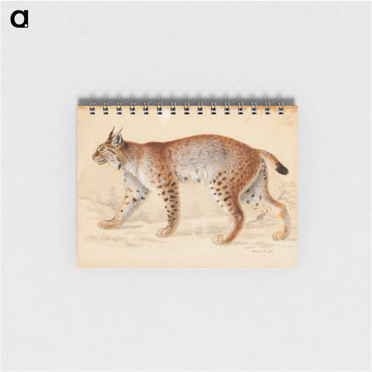 Lynx - ヴィルヘルム フォン ライト Memo.