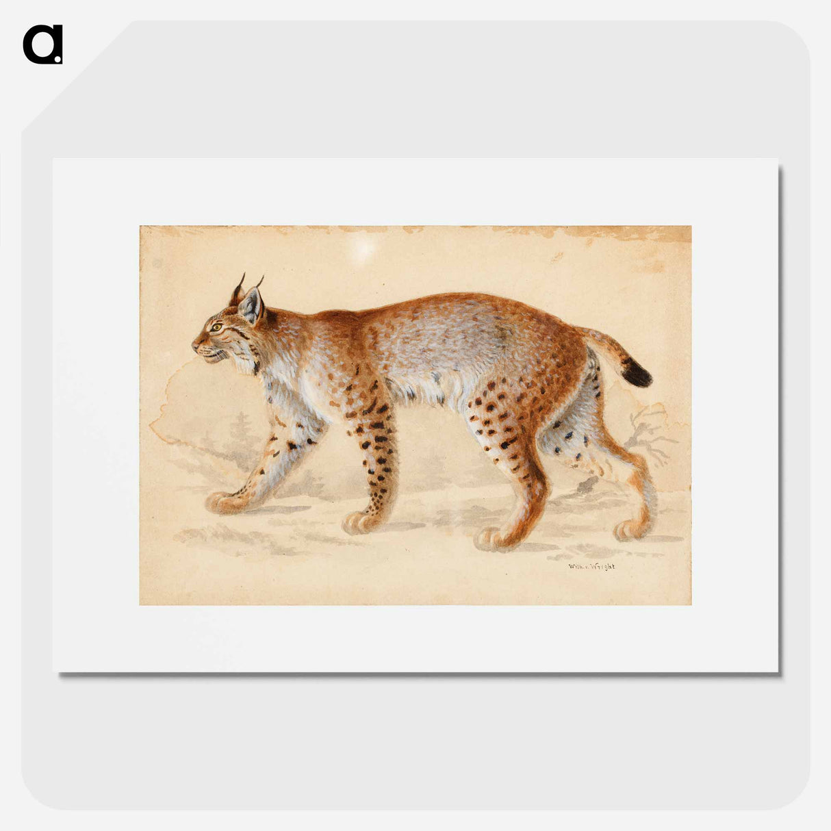 Lynx - Wilhelm von Wright Poster.