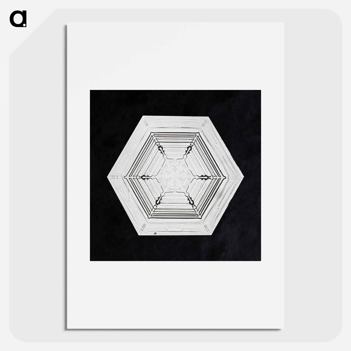 Wilson Bentley's Snowflake 234 - Wilson Bentley Poster.