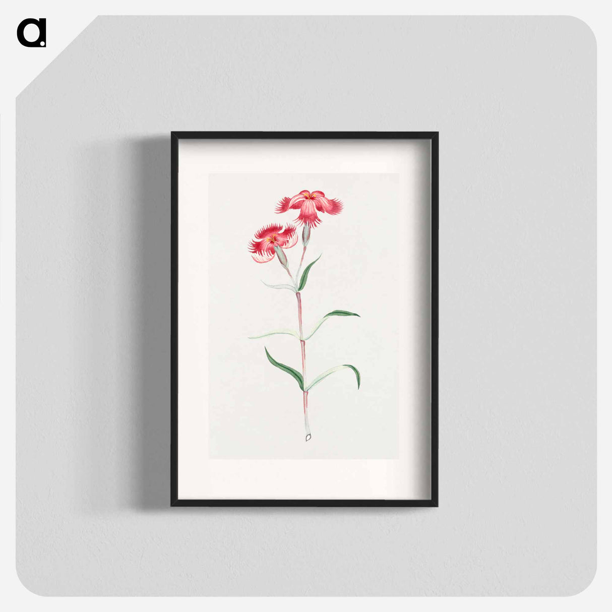 Haguma nadeshiko - 19世紀の日本の花 Poster.