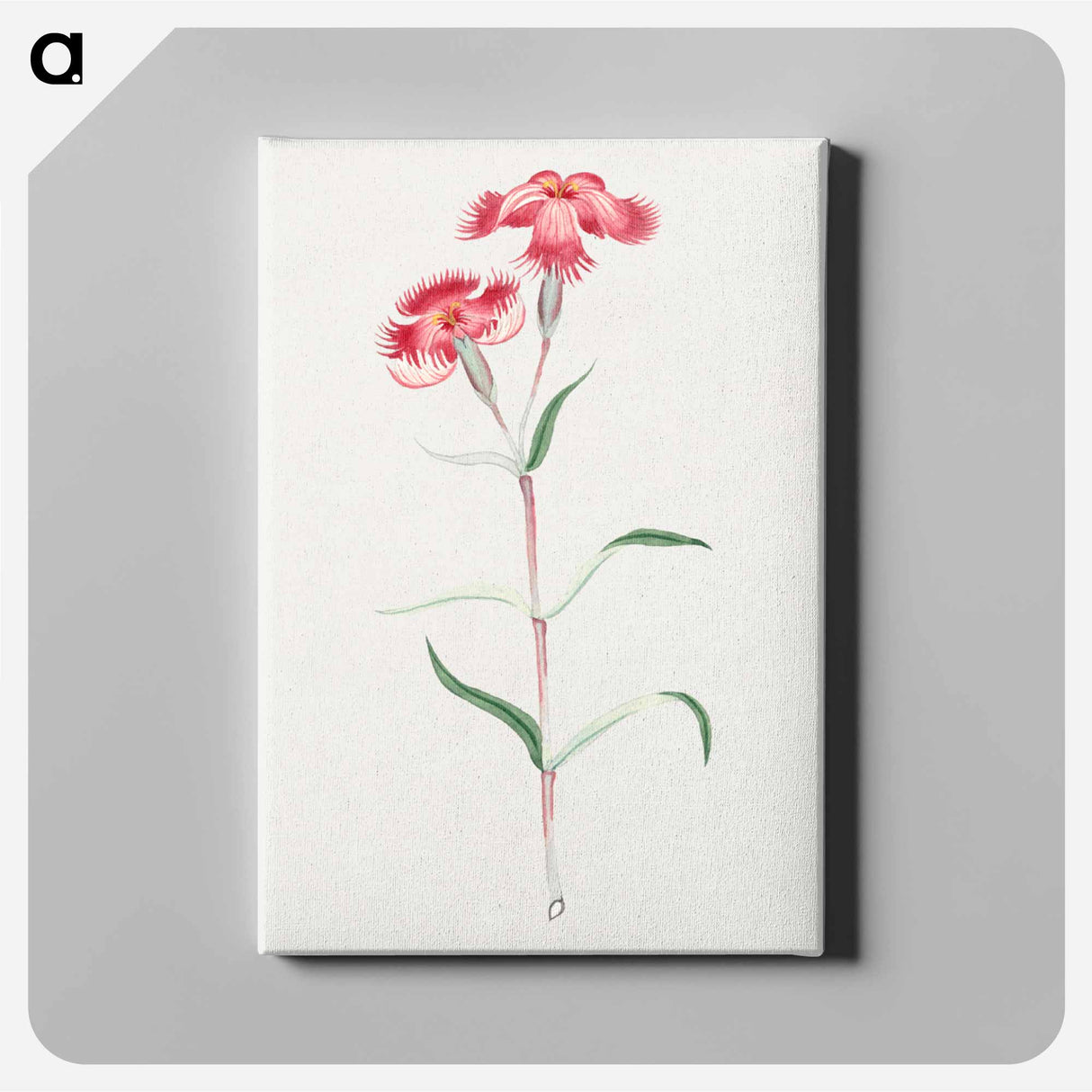 Haguma nadeshiko - 19世紀の日本の花 Canvas.