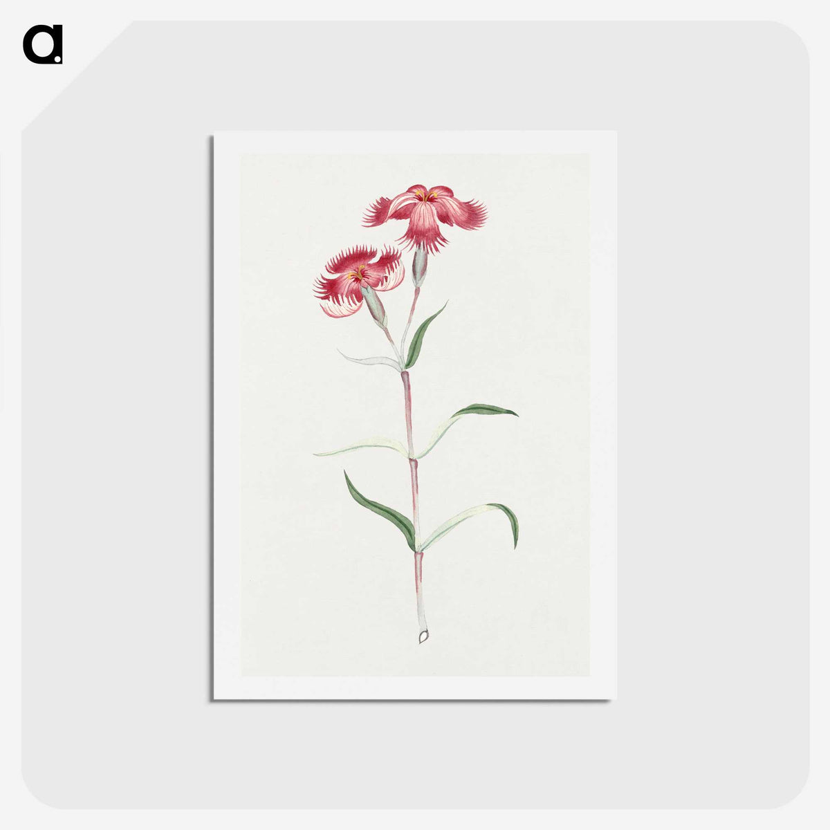 1-14_19th-Century-Japanese-Flowers_hagaki