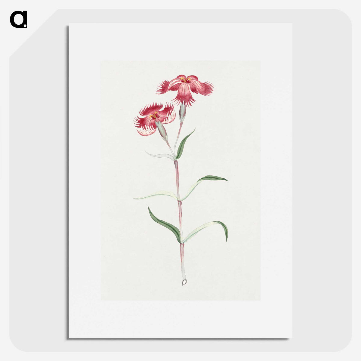 1-14_19th-Century-Japanese-Flowers_picture