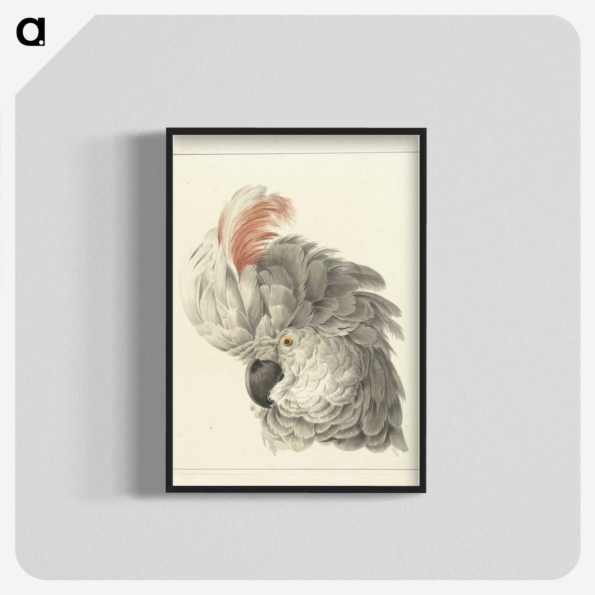 1-14_Aert-Schouman_blk-crop