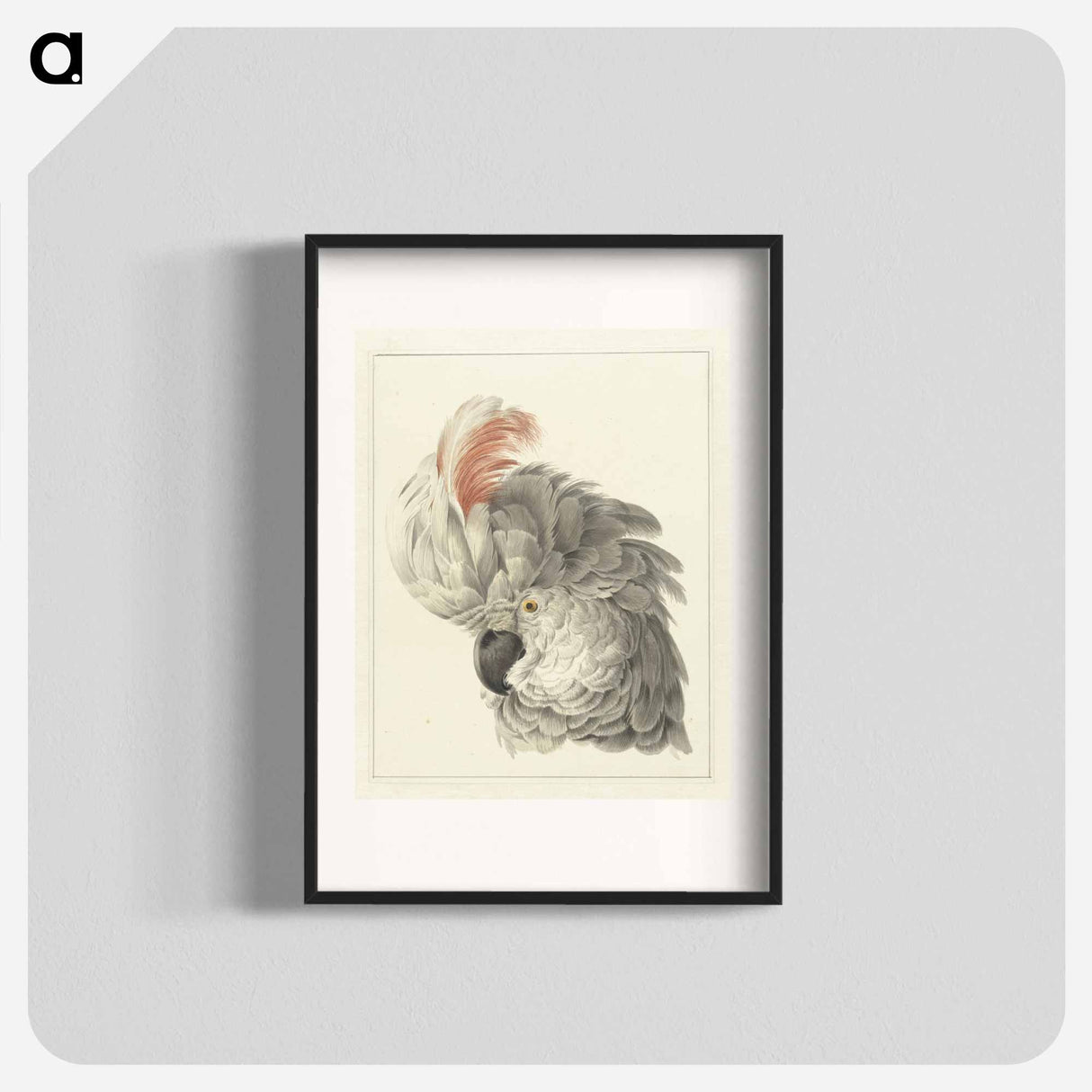 Kop van een kaketoe Papegaaienkop - アールト シューマン Poster.