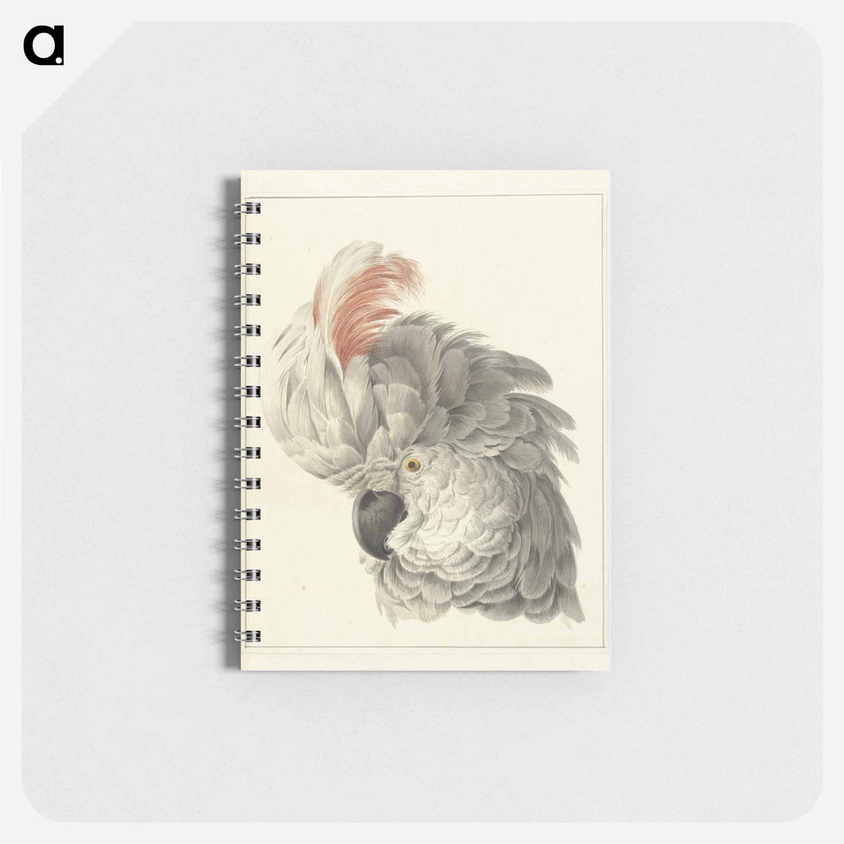 Kop van een kaketoe Papegaaienkop - アールト シューマン Memo.