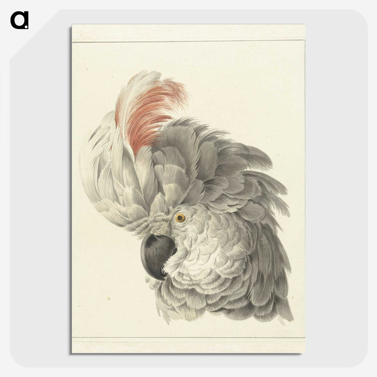 1-14_Aert-Schouman_picture-crop