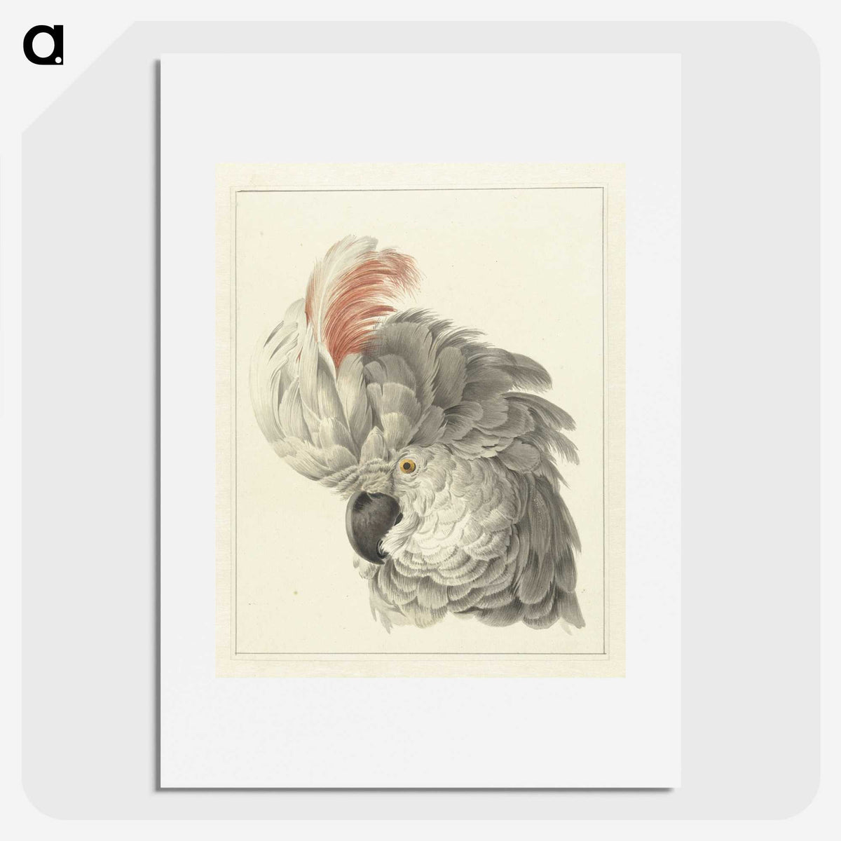 1-14_Aert-Schouman_picture