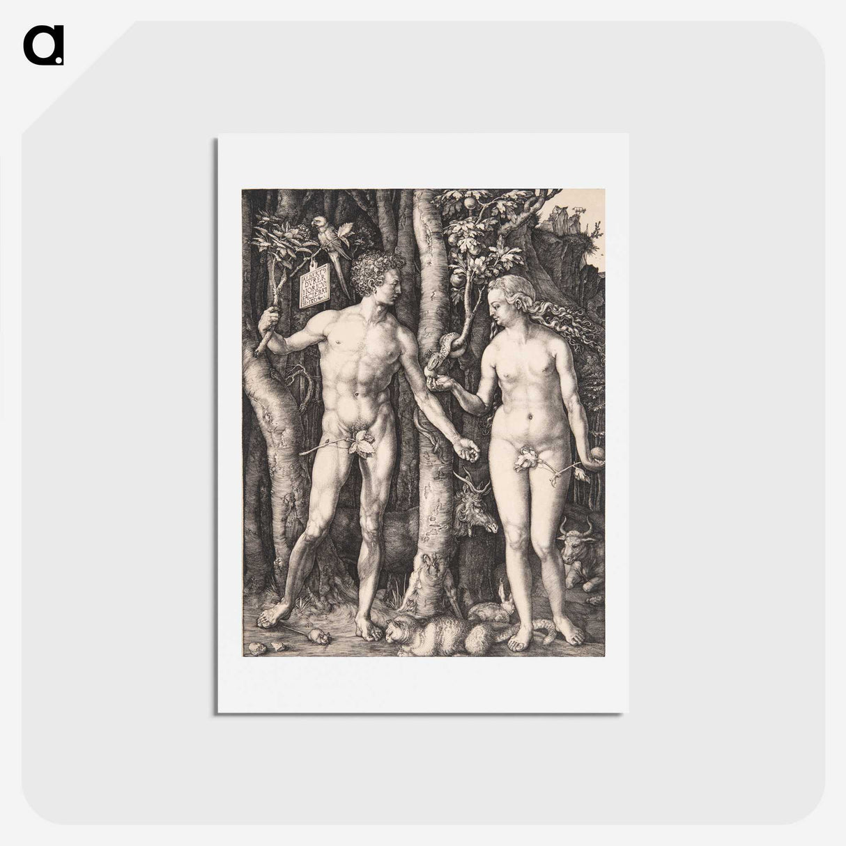 1-14_Albrecht-Durer_hagaki
