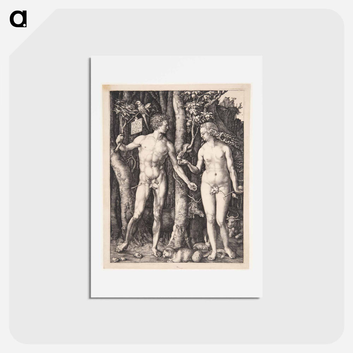 アートポストカード-Adam and Eve - アルブレヒト デューラー Postcard.
