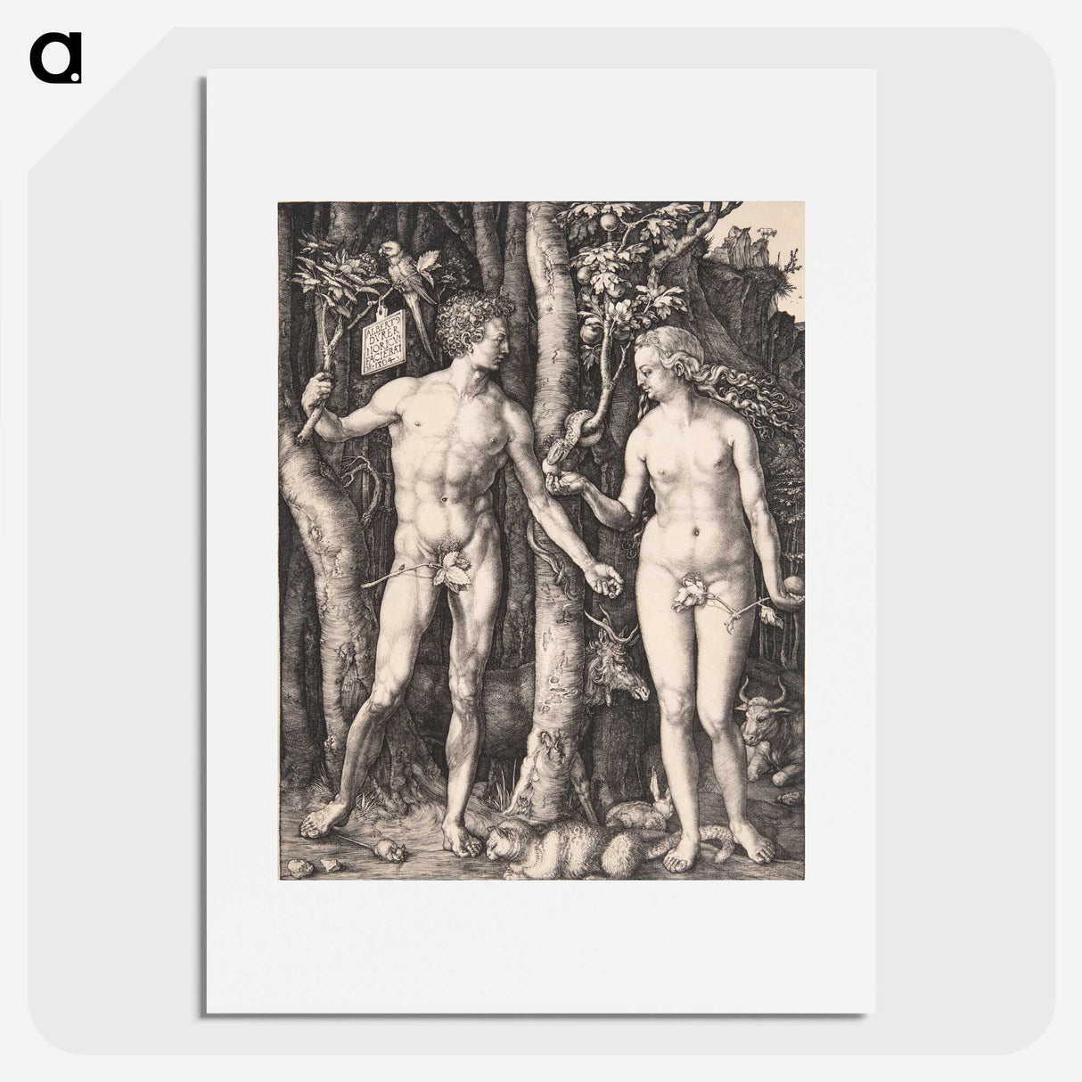 1-14_Albrecht-Durer_picture