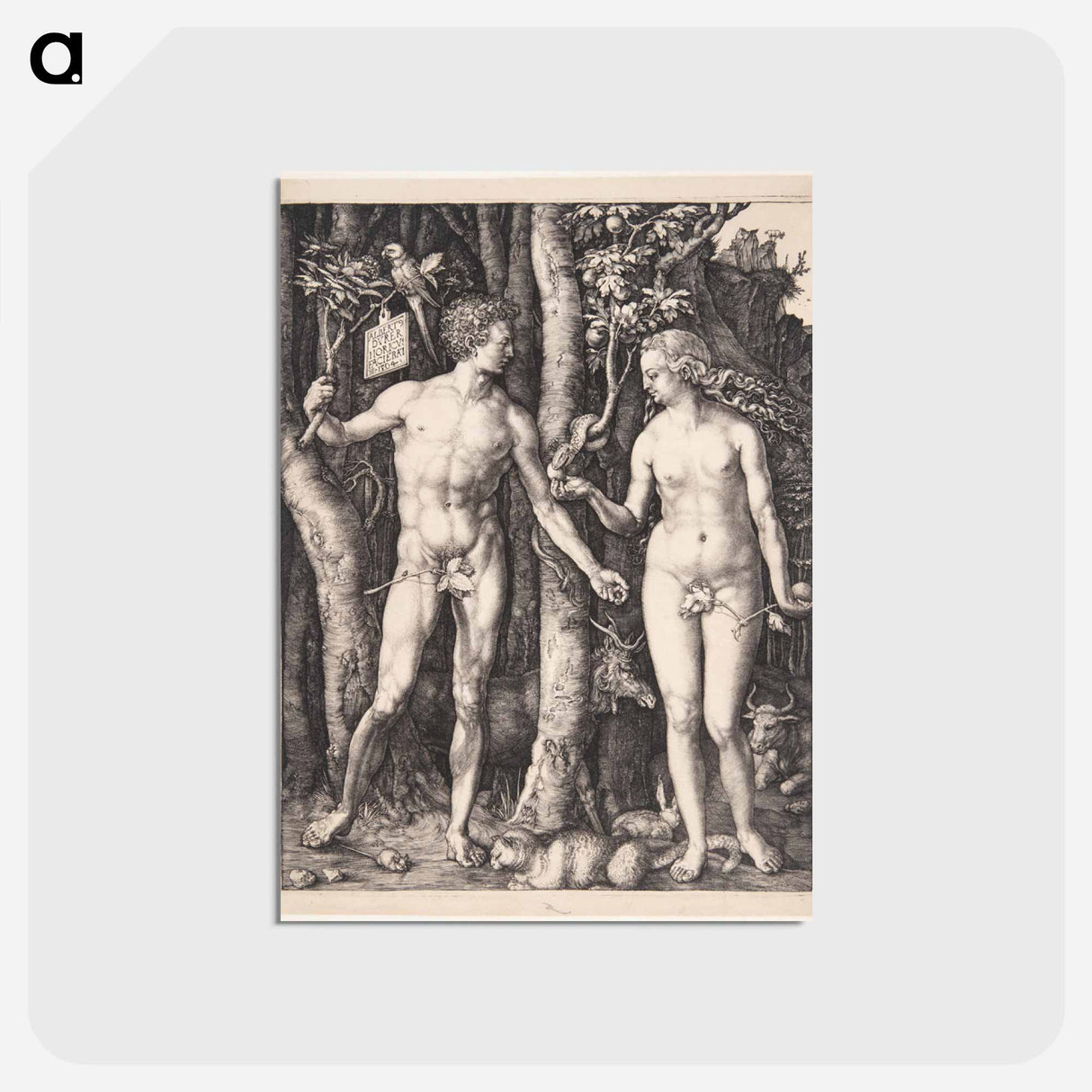アートポストカード-Adam and Eve - アルブレヒト デューラー Postcard.
