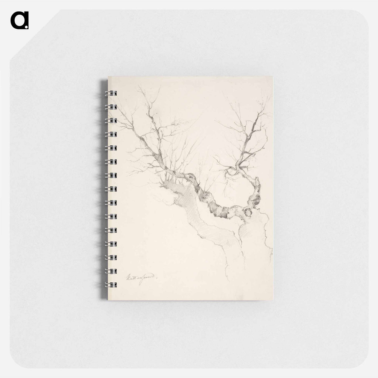 Puunrunko ilman lehdistöä - アンダース エクマン Memo.