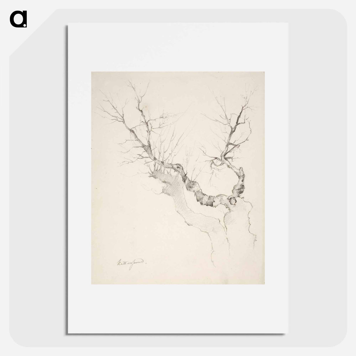 Puunrunko ilman lehdistöä - アンダース エクマン Poster.