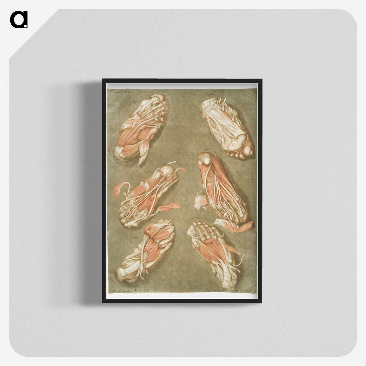1-14_Arnauld-Eloi-Gautier-Dagoty_blk-crop