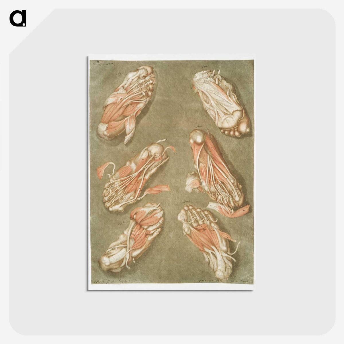 1-14_Arnauld-Eloi-Gautier-Dagoty_postcard