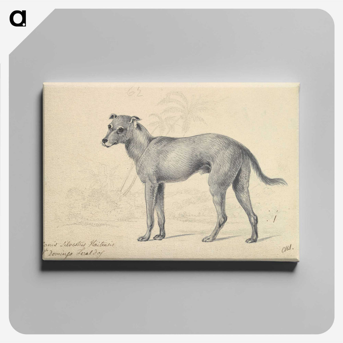 1-14_Charles-Hamilton-Smith_canvas