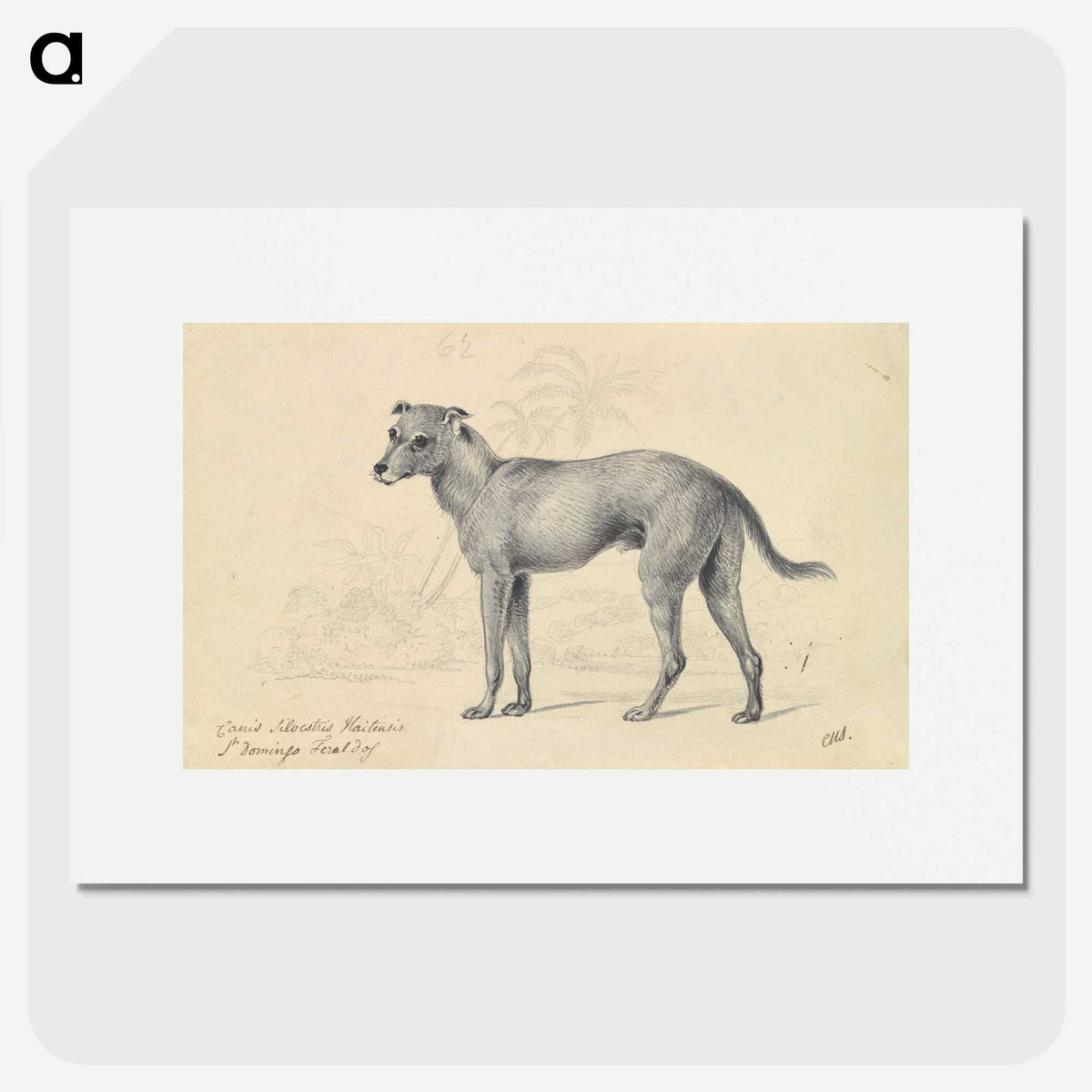 1-14_Charles-Hamilton-Smith_picture