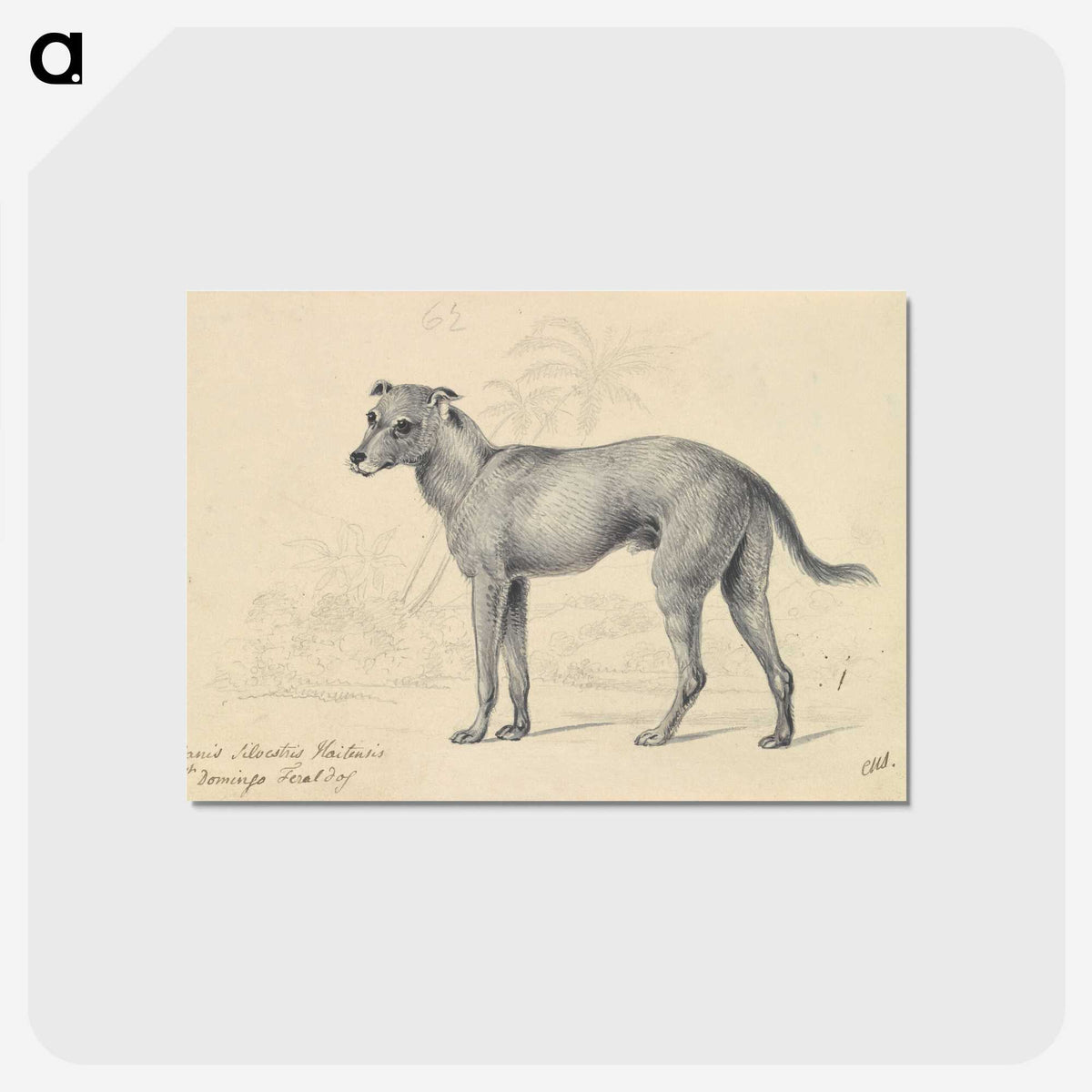 1-14_Charles-Hamilton-Smith_postcard