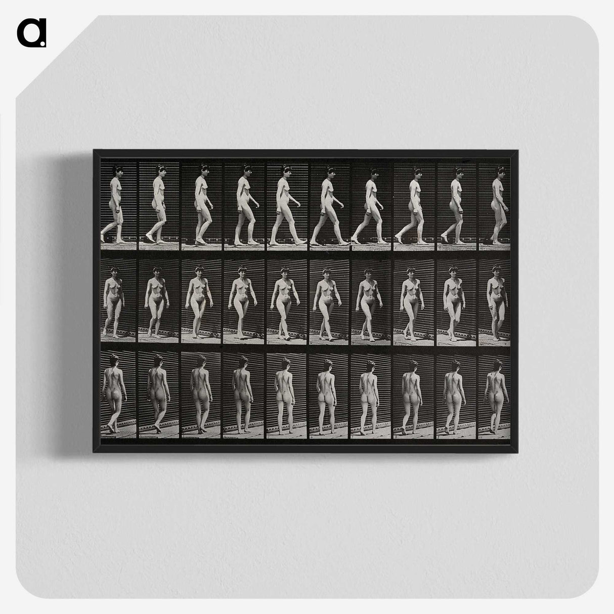1-14_Eadweard-Muybridge_blk-crop