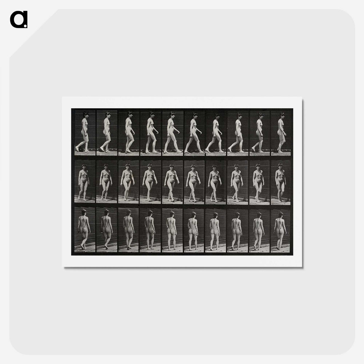 1-14_Eadweard-Muybridge_hagaki