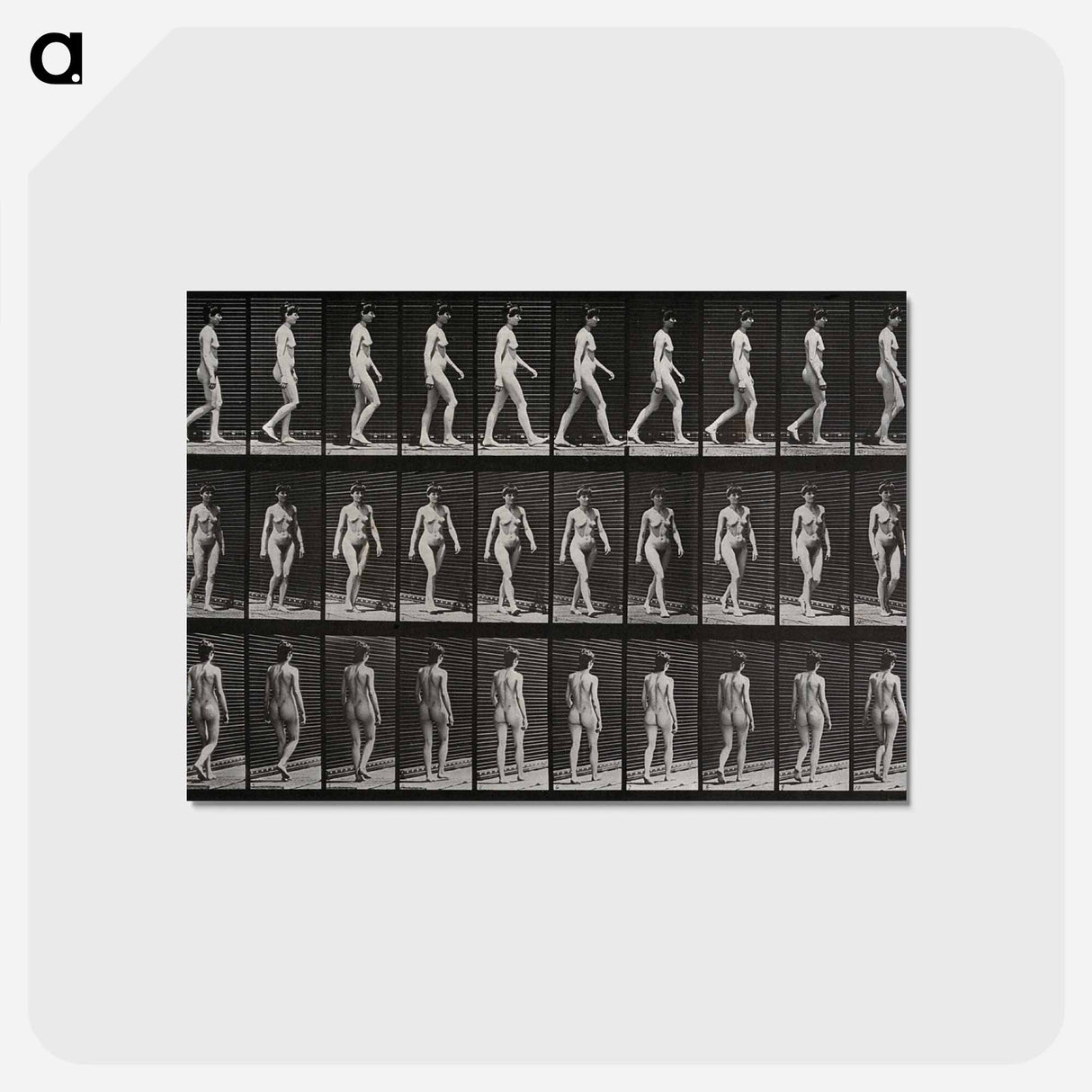 アートポストカード-Woman Walking
- エドワード マイブリッジ Postcard.