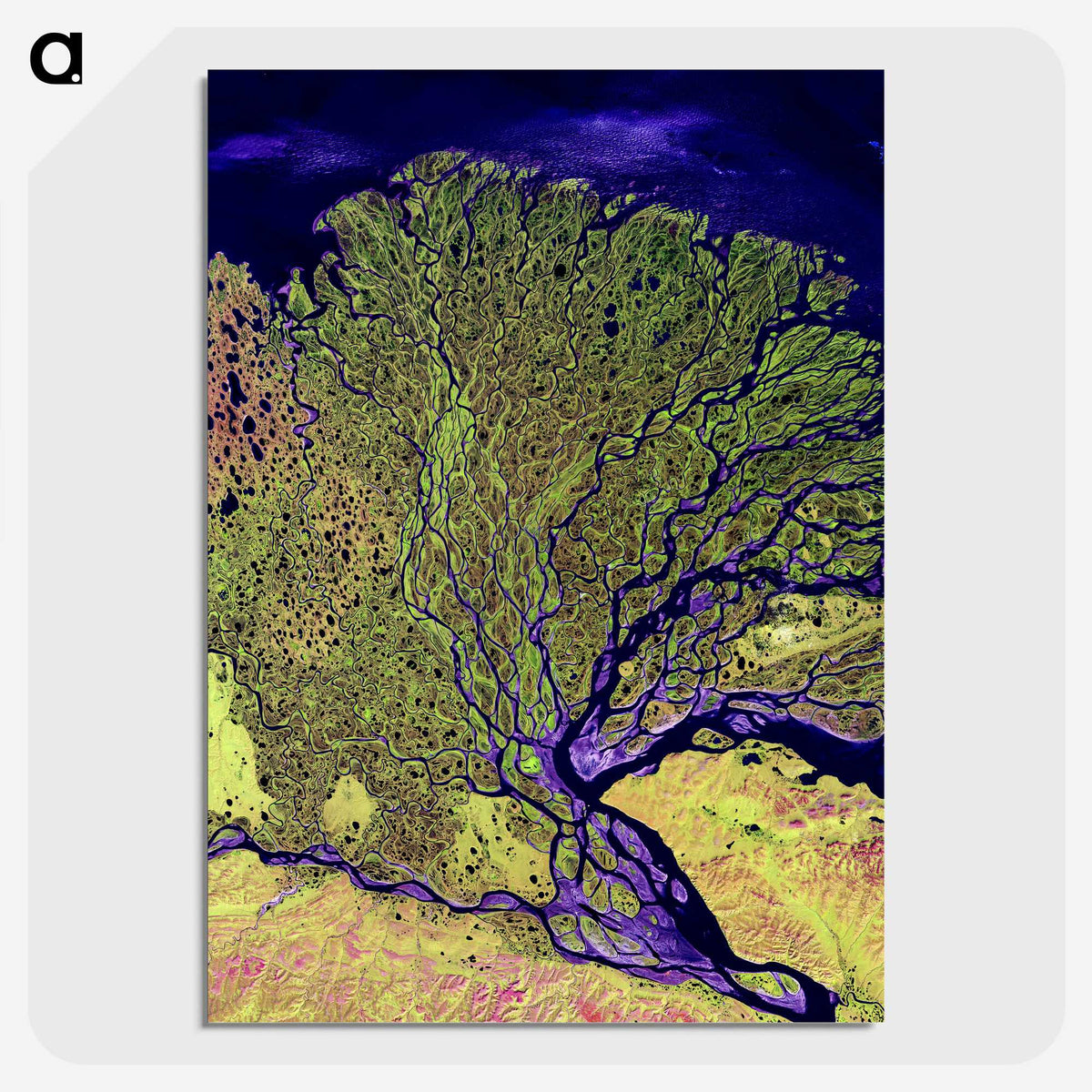 1-14_Earth-from-Above_picture-crop