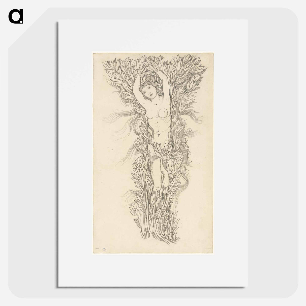 Daphne - エドワード バーン ジョーンズ Poster.