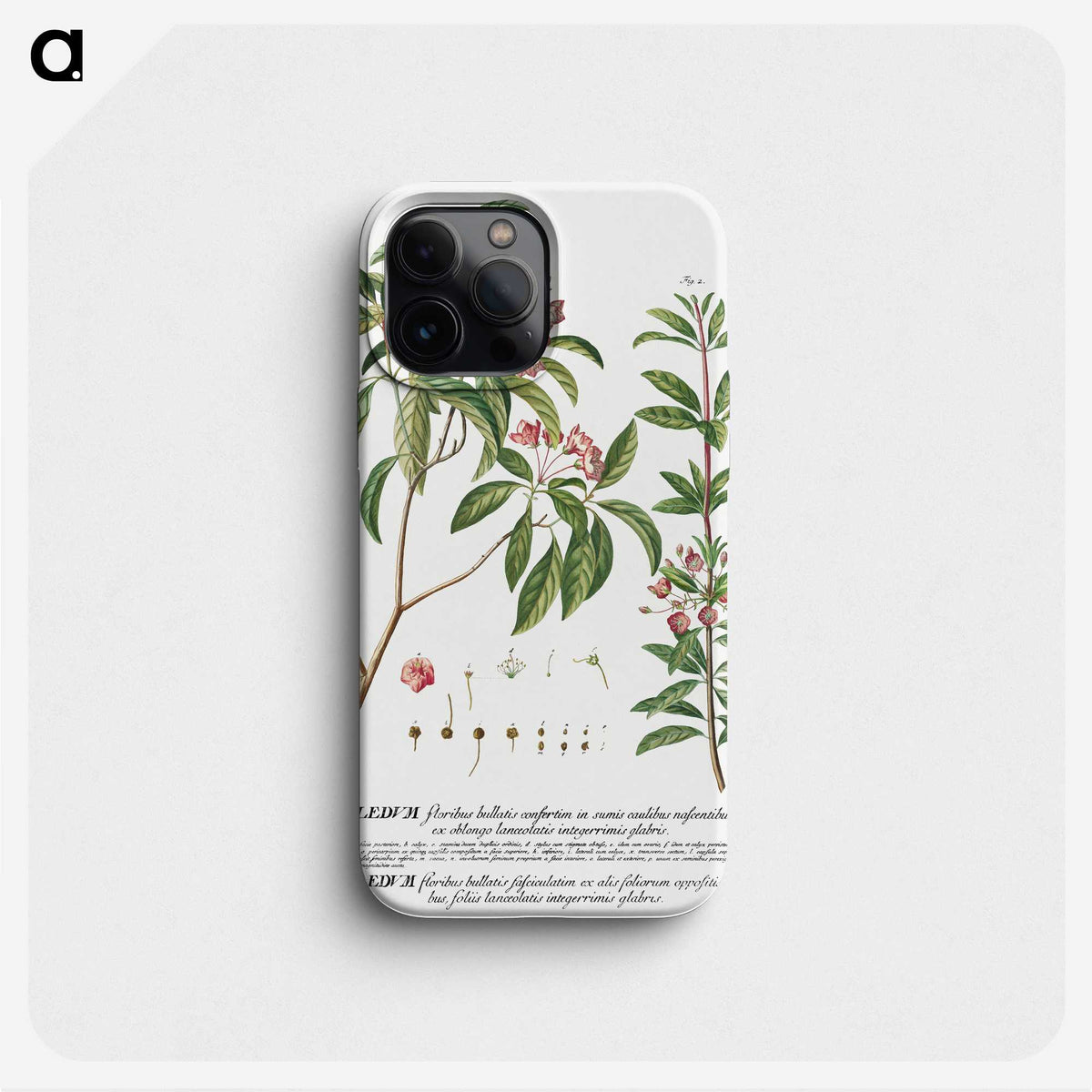 1-14_Georg-Dionysius-Ehret_phone