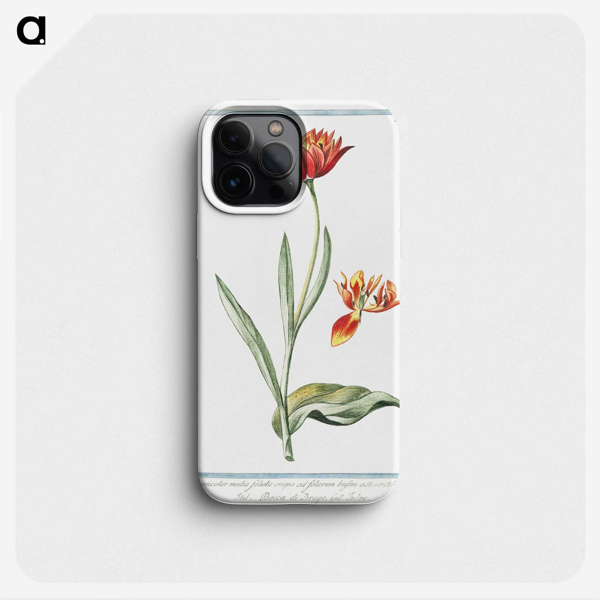 1-14_Hortus-Romanus-Botanical-Plates_phone