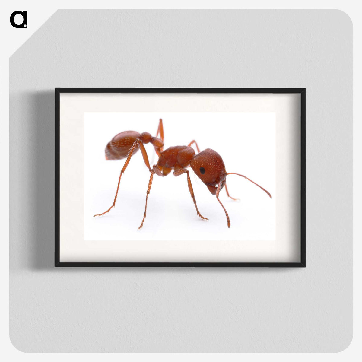 1-14_Insects-Unlocked-Project_blk