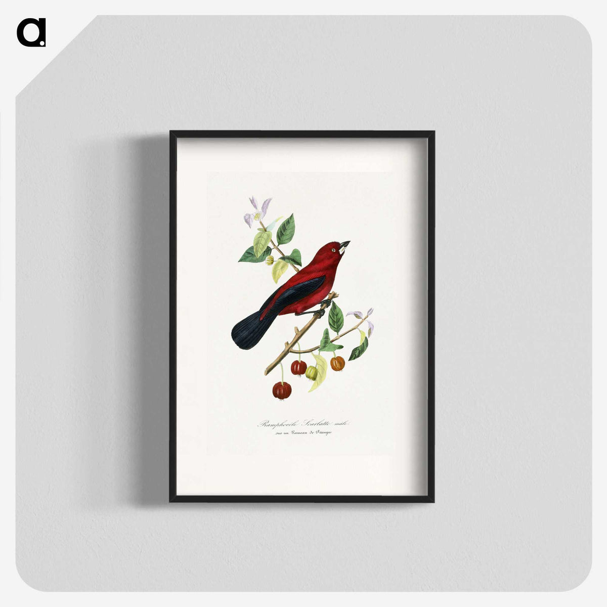 1-14_Le-Jardin-des-Plantes_blk