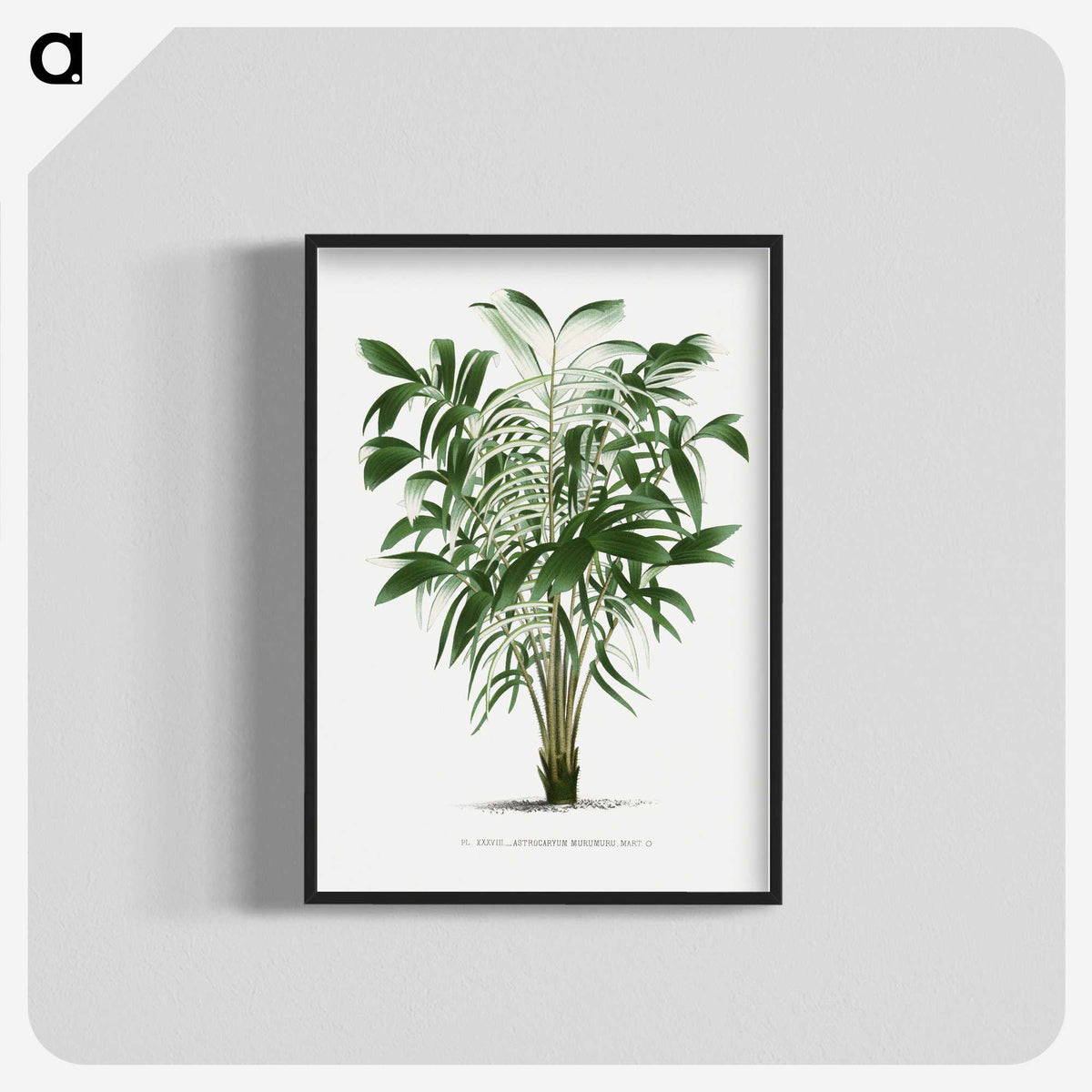 1-14_Les-Palmiers-Histoire-Iconographique_blk-crop
