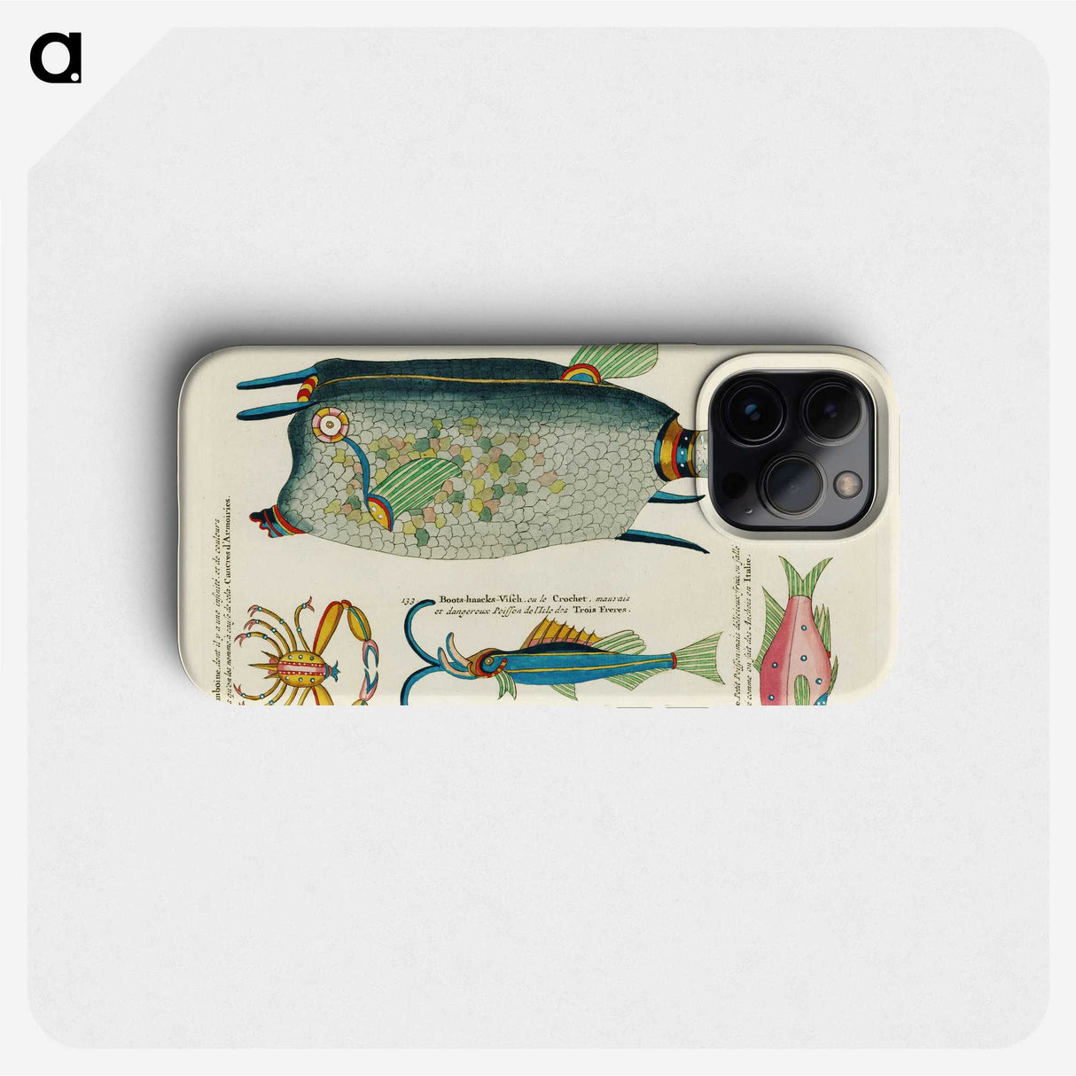 1-14_Louis-Renard_phone