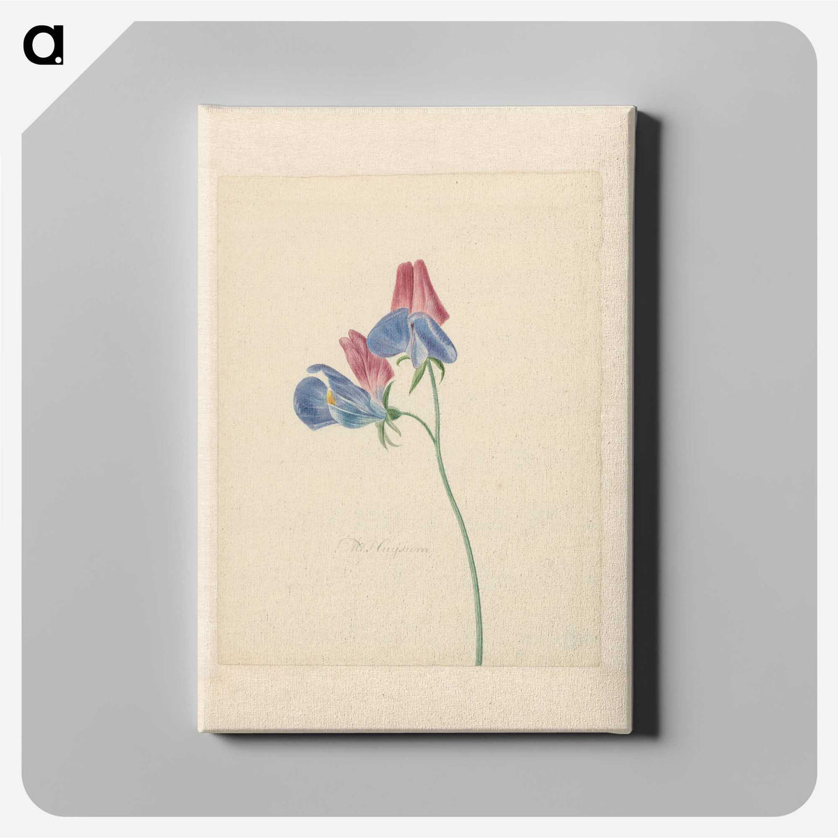 1-14_Michiel-van-Huysum_canvas