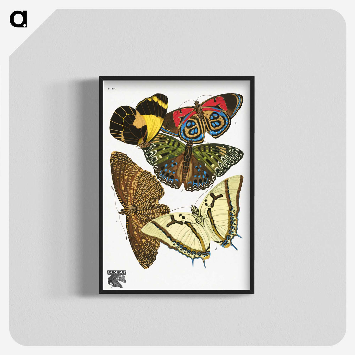 1-14_Papillons_blk-crop