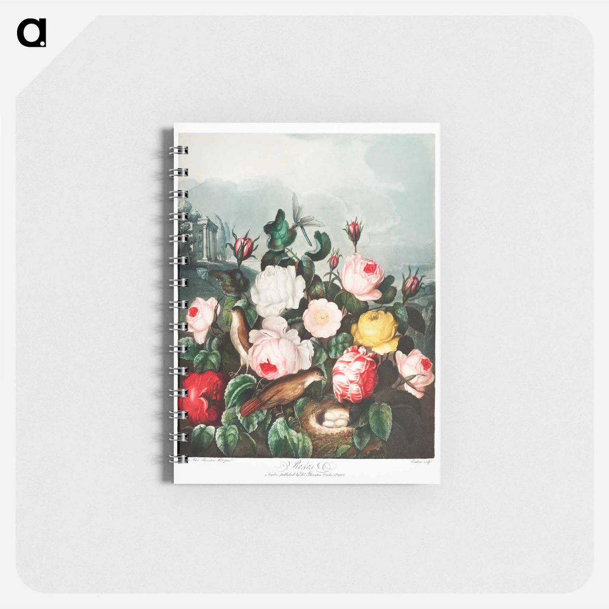 アートメモ帳-Roses from The Temple of Flora
- ロバート ジョン ソーントン Memo.