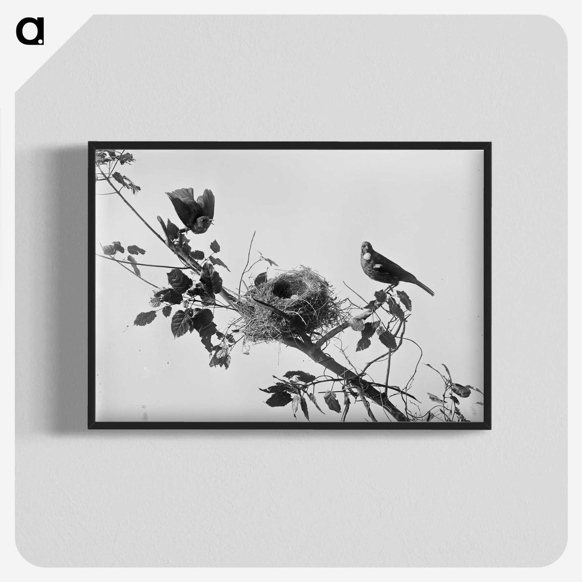 1-14_The-Burton-Brothers_blk-crop