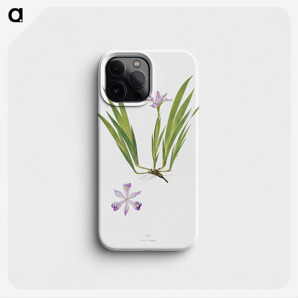 1-14_The-Genus-Iris_phone