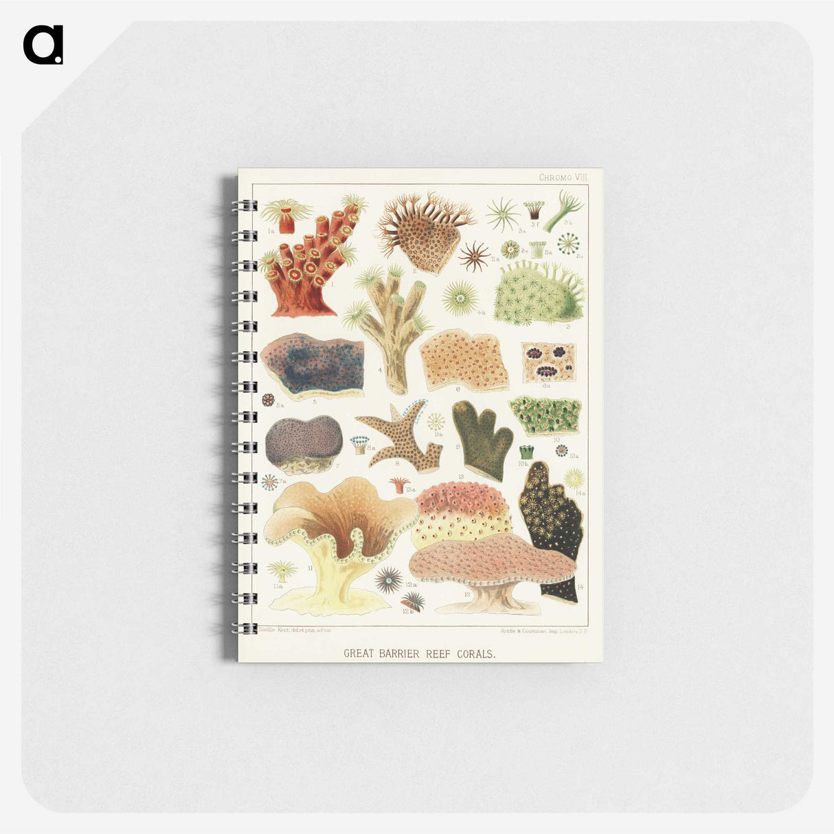 1-14_The-Great-Barrier-Reef-of-Australia_memo