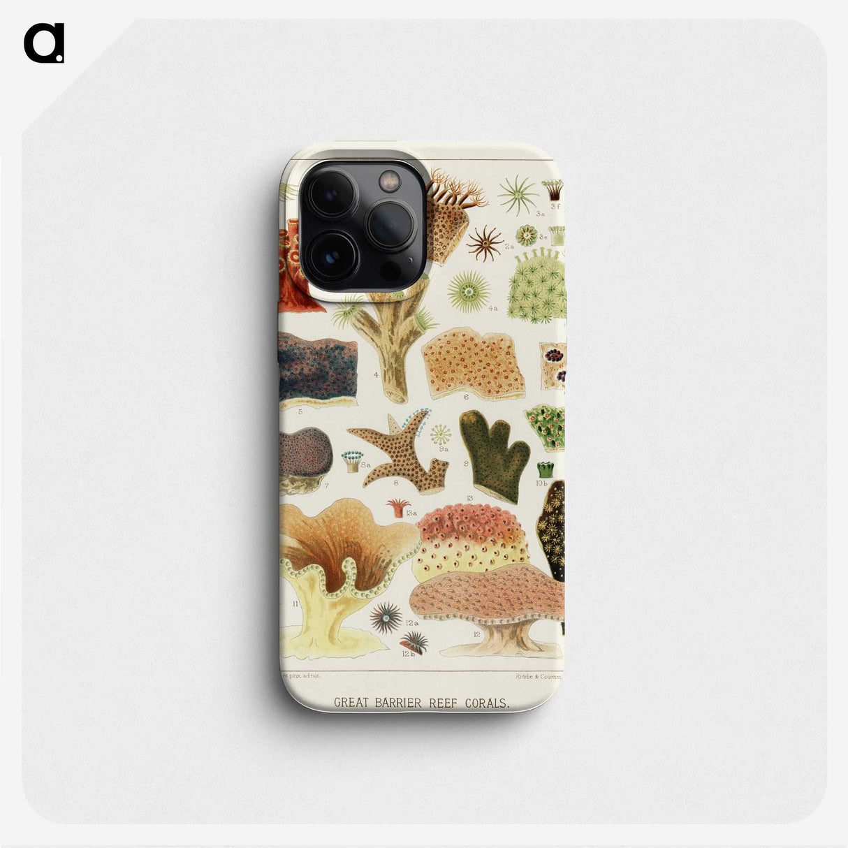 1-14_The-Great-Barrier-Reef-of-Australia_phone