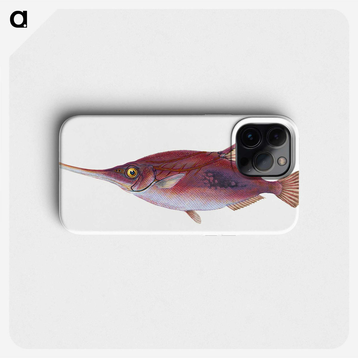 1-14_The-Natural-History-of-British-Fishes_phone