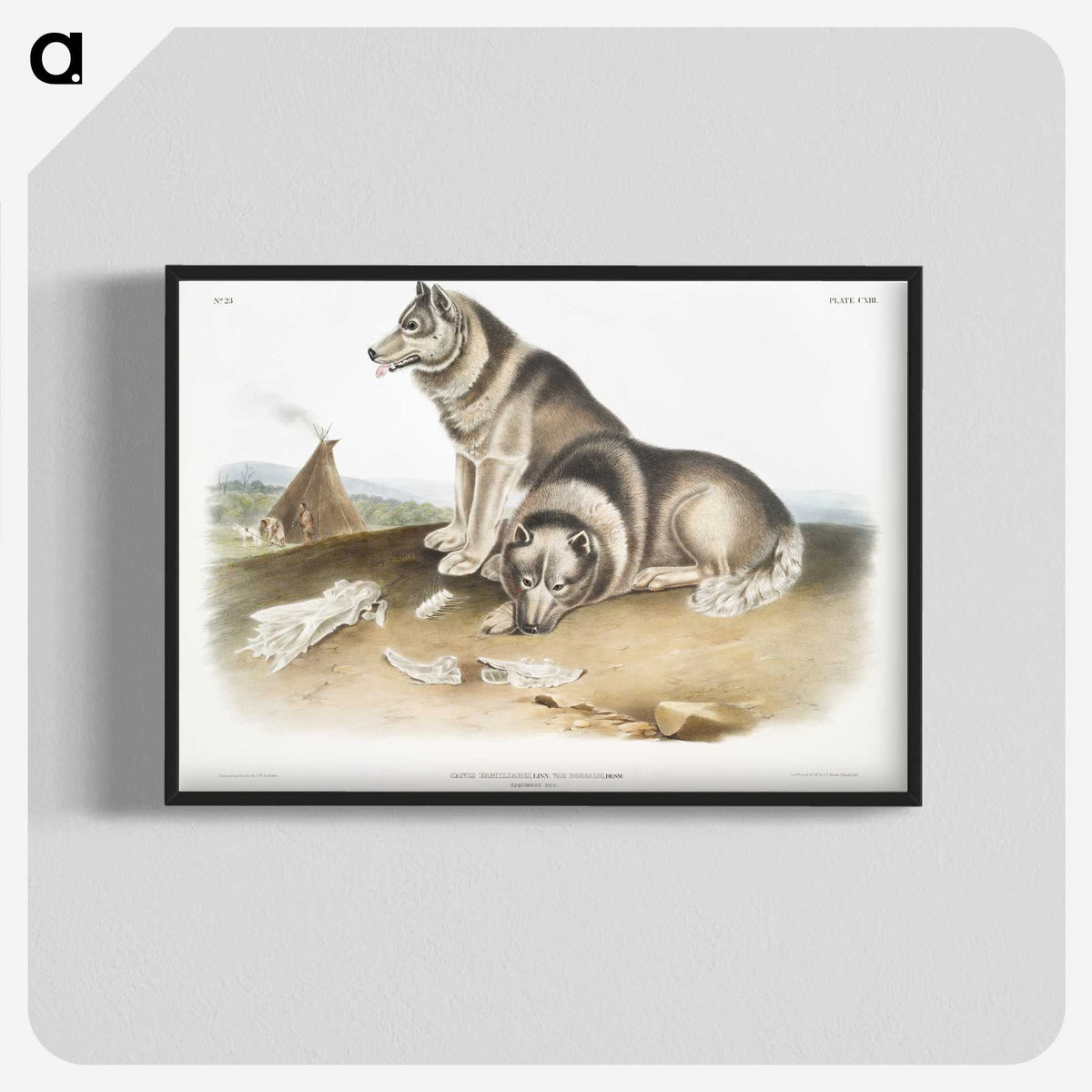 1-14_The-Viviparous-Quadrupeds_blk-crop