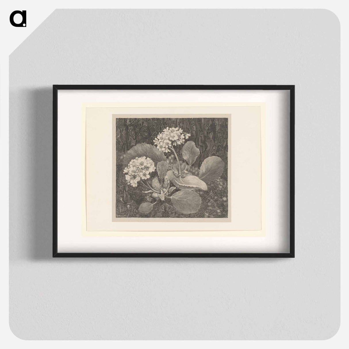 Primula in het mos - Theo van Hoytema Poster.