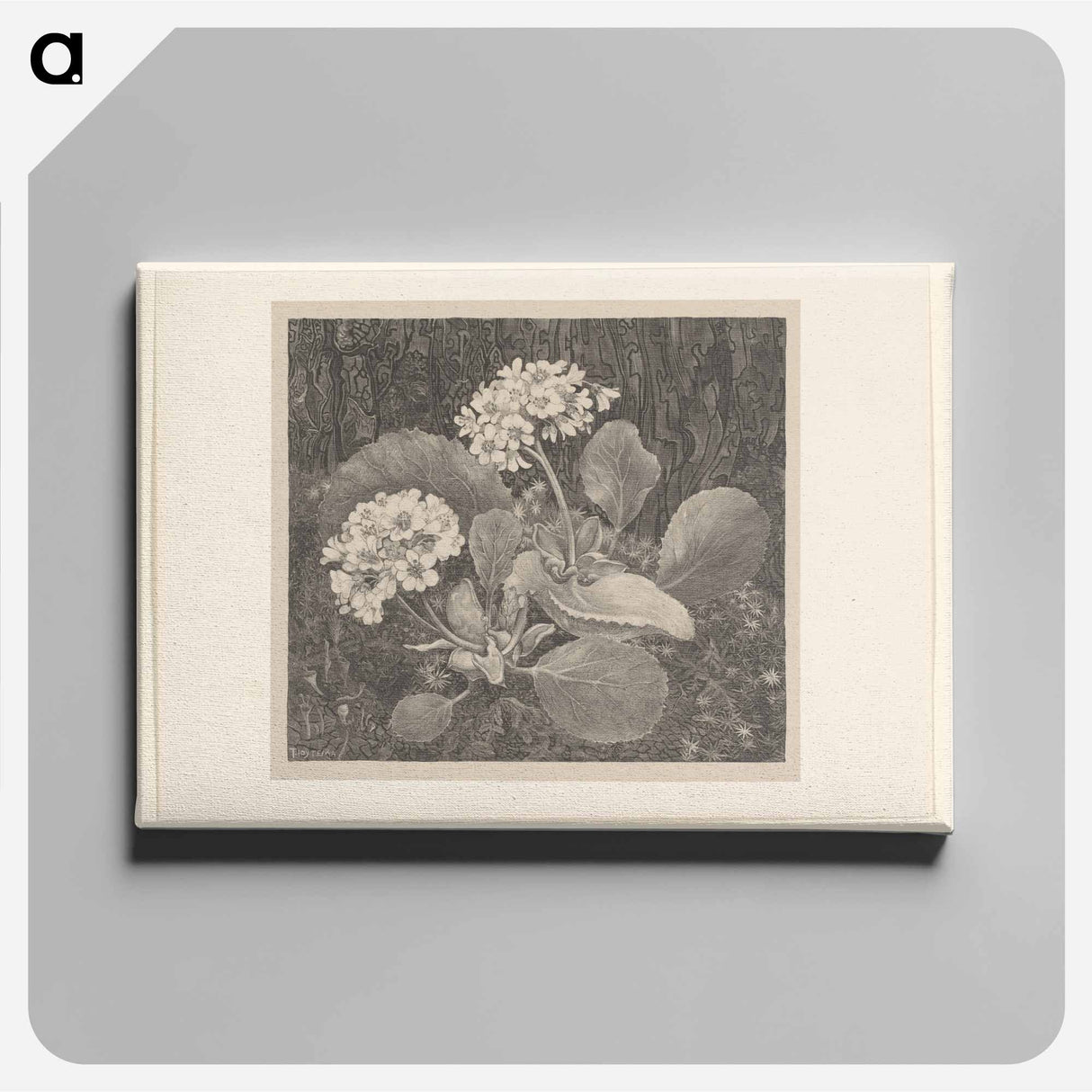 Primula in het mos - Theo van Hoytema Canvas.