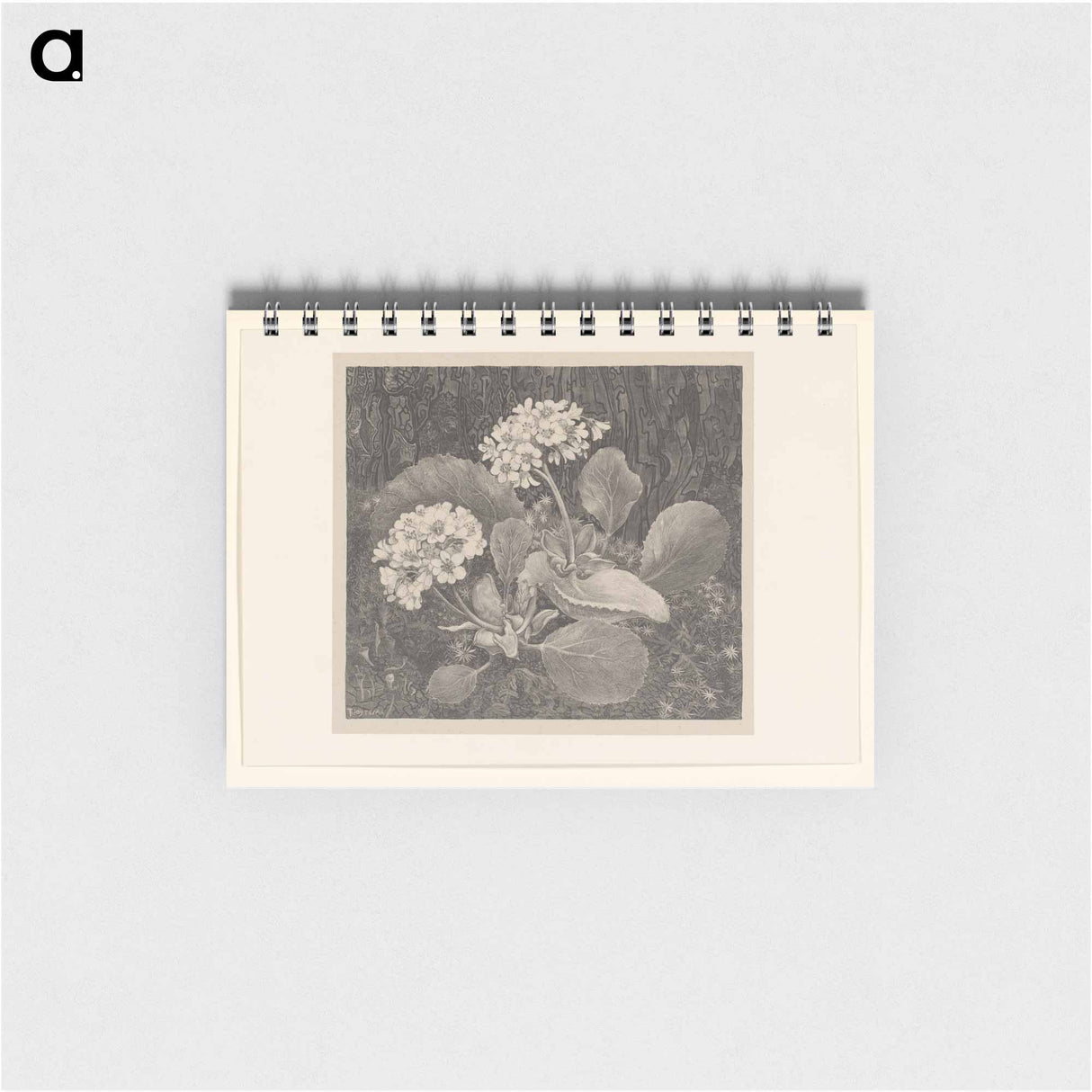 Primula in het mos - テオ ヴァン ホイテマ Memo.