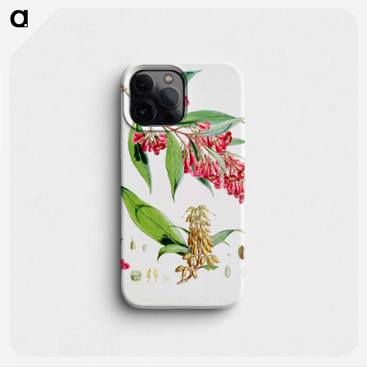 Buddleja Colvilei - Walter Hood Fitch Phone Case.