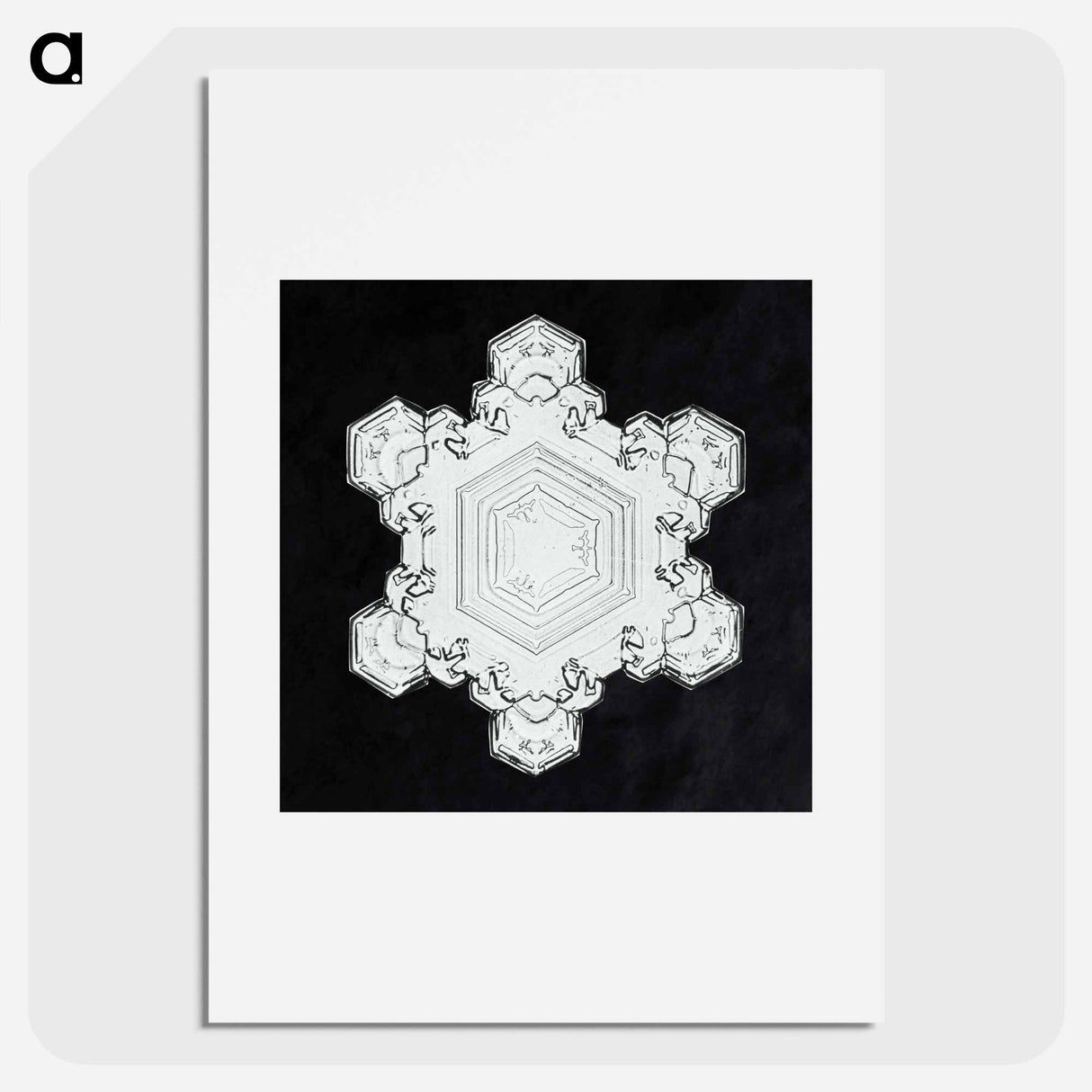 Wilson Bentley's Snowflake 1205 - Wilson Bentley Poster.
